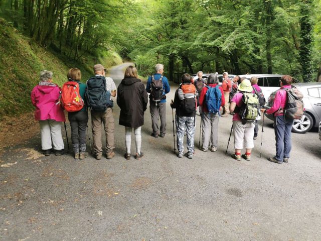 34632098480409139581