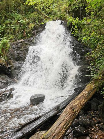 60869047208789533141