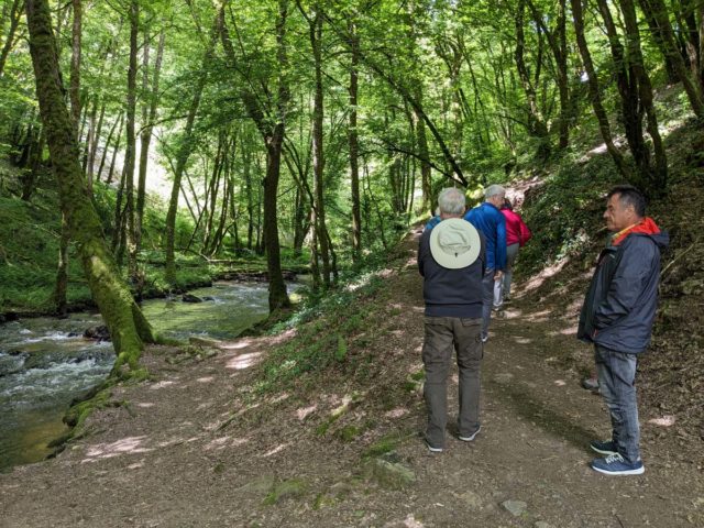 PXL_20240611_094649935.MP_