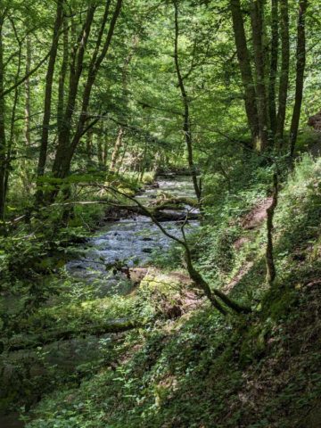 PXL_20240611_094734360