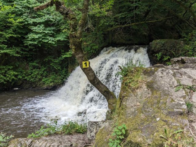 PXL_20240611_095022016