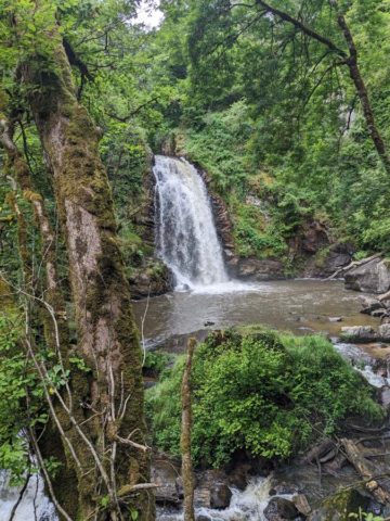 PXL_20240611_095330084