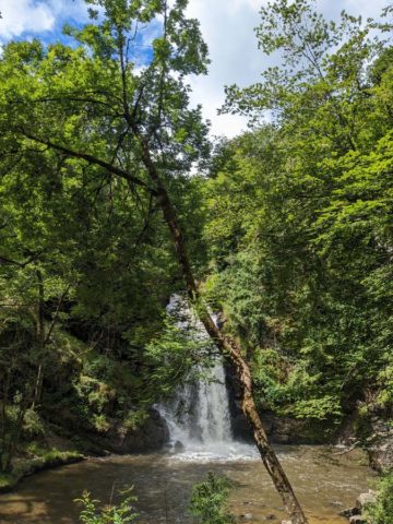 PXL_20240611_095611563