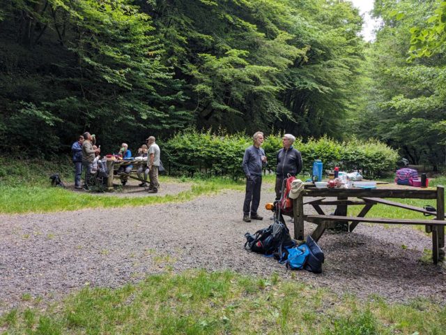 PXL_20240611_102455556